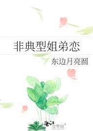 非姐弟恋是什么意思